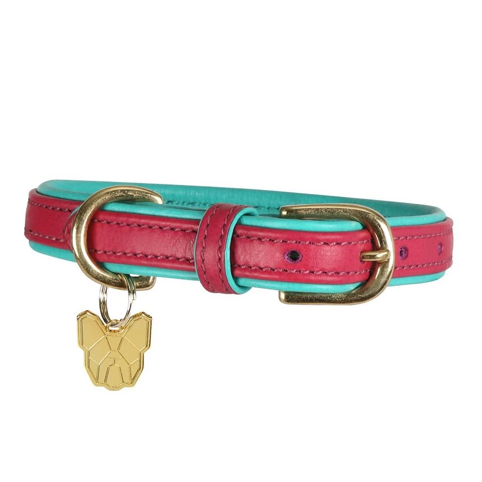 Padded Leather Dog Collar - Image 2