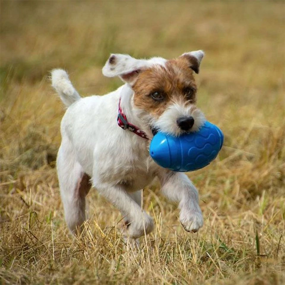Toyz Rugby Ball - Image 2