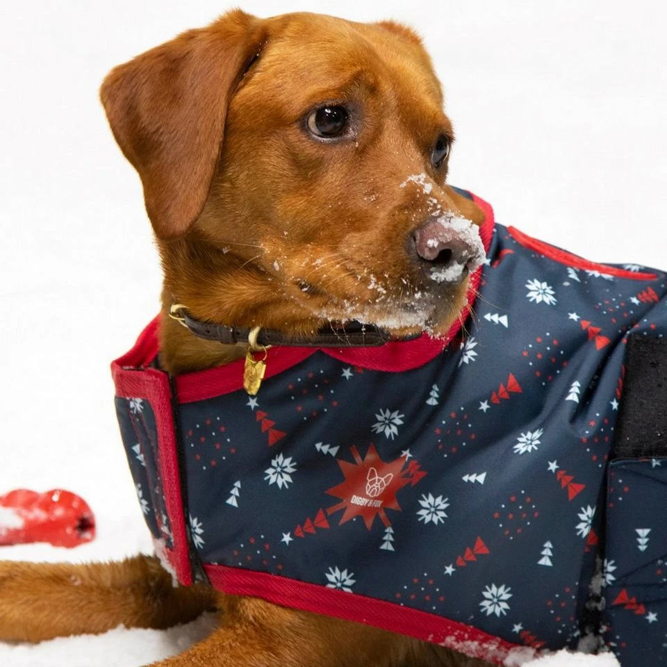 Christmas Waterproof Dog Coat