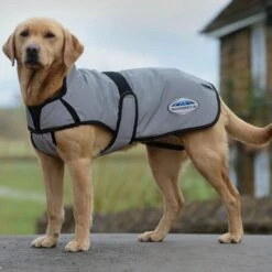 Weatherbeeta Comfitec Reflective Dog Coat Medium